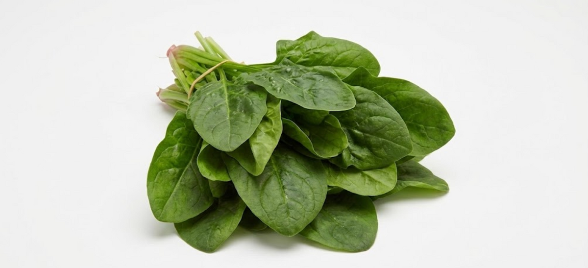 Folic Acid
