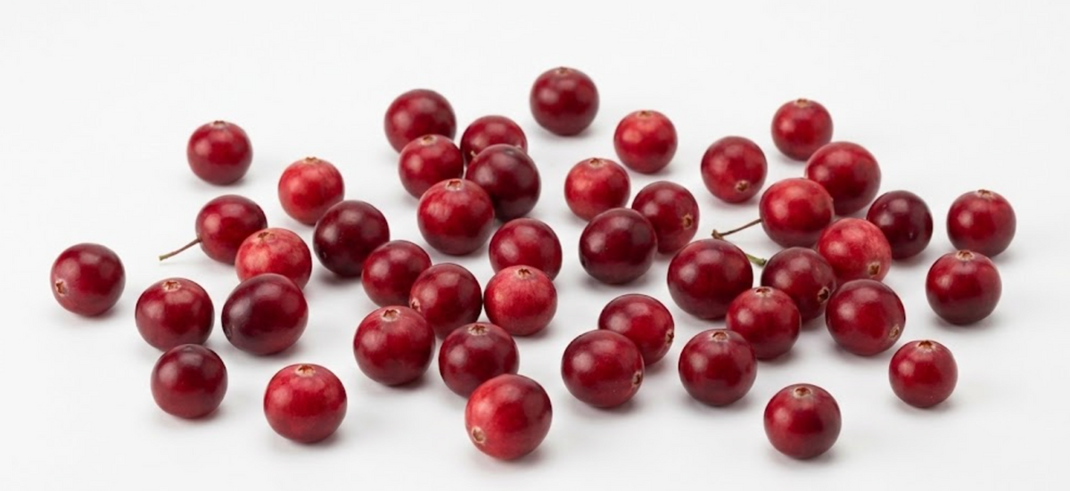 Cranberry extract