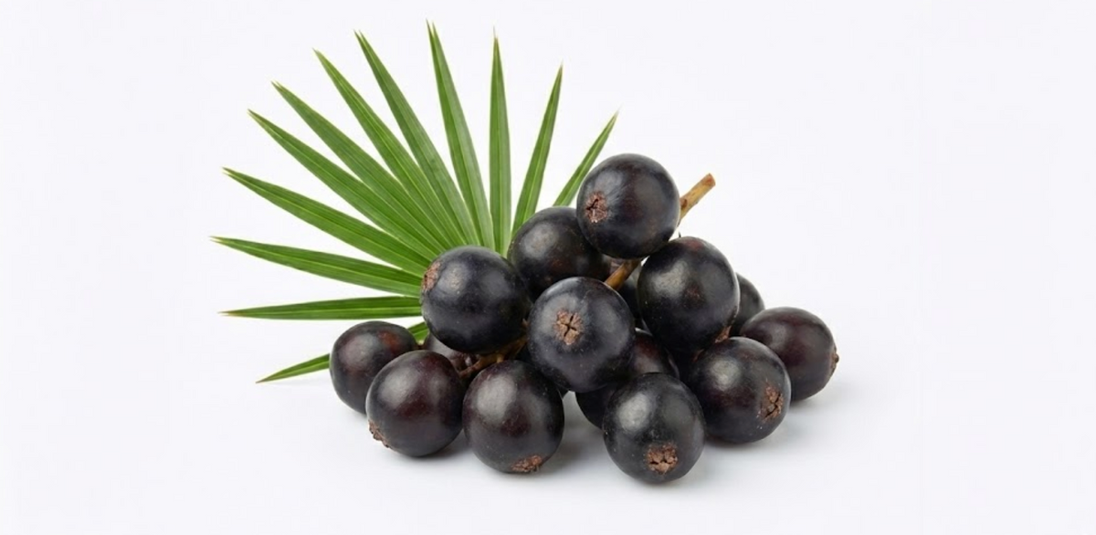 Saw Palmetto Extract