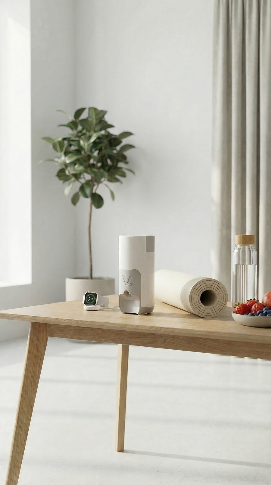 The VION device, view 2 of 5